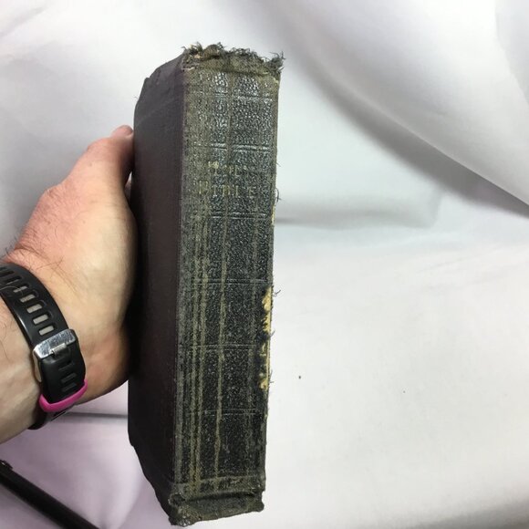 Holy Bible Self-Pronouncing-King James Version-The World Publishing Company - Picture 3 of 15